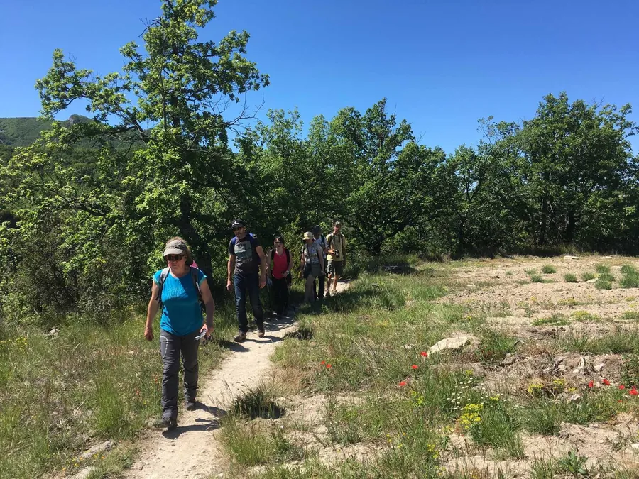 LES CHEMINS DE Pierre, VOTRE ACCOMPAGNATEUR EN MONTAGNE DANS LE VENTOUXf