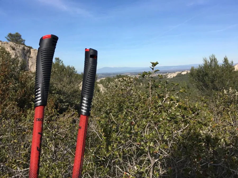 LES CHEMINS DE Pierre, VOTRE ACCOMPAGNATEUR EN MONTAGNE DANS LE VENTOUX00387